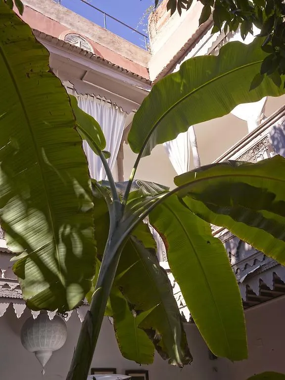 Riad Les Jardins D'Henia Marrakesh